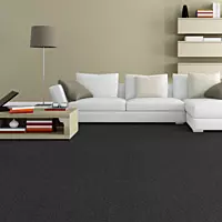 Roll Carpet Delta 178 - Black