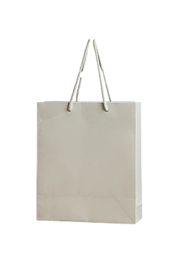 WHITE PAPER BAG
