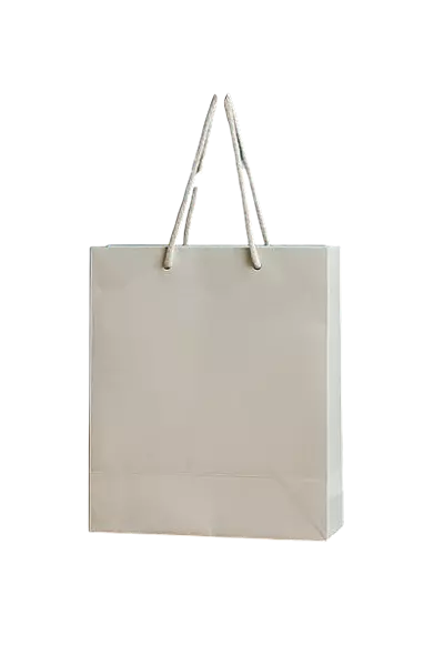 WHITE PAPER BAG
