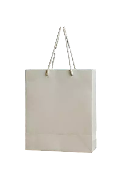 WHITE PAPER BAG