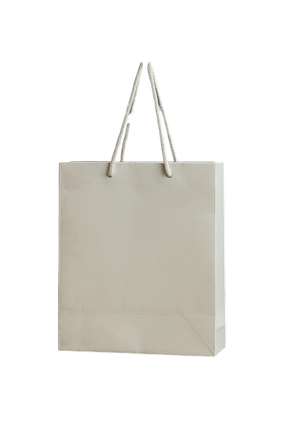 WHITE PAPER BAG