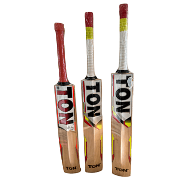 Premium Kashmir Willow