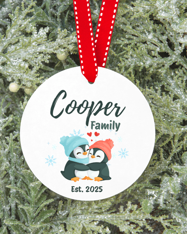 Personalized Christmas Ornaments 2025