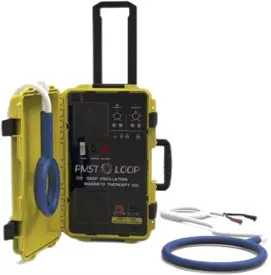 PMST LOOP PEMF Therapy Device – 6000 Gauss Pulsed Electromagnetic Field for Pain Relief & Recover