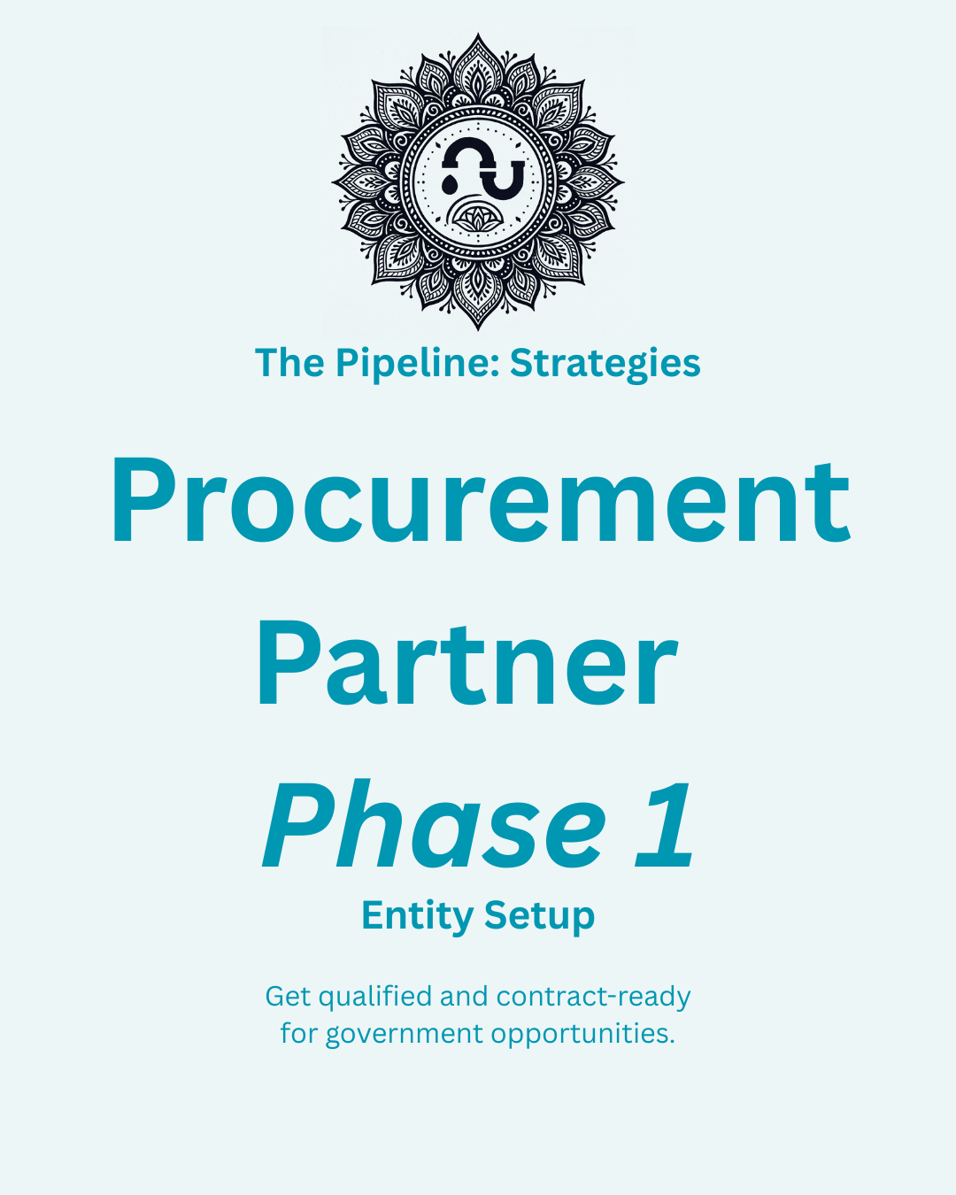 TPS Procurement Partner Setup Phase 1