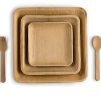 10  Inch Square Palm Plate 10  Inch Square Palm Plate