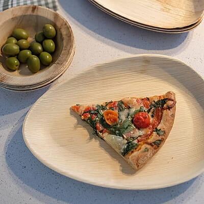 Nature Compostable Biodegradable Disposable Plates - Palm Leaf 10ââ‚¬Â Oval Small Dinnerware Set - Eco Friendly Alternative - Party, Wedding, Event Plates (25 Pack)