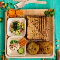 10  Inch Square Palm Plate 10  Inch Square Palm Plate