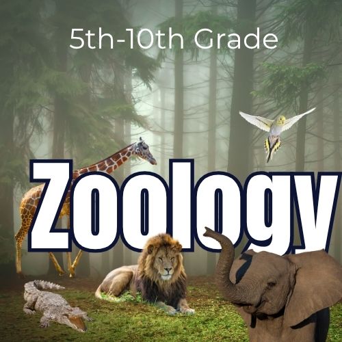 Zoology