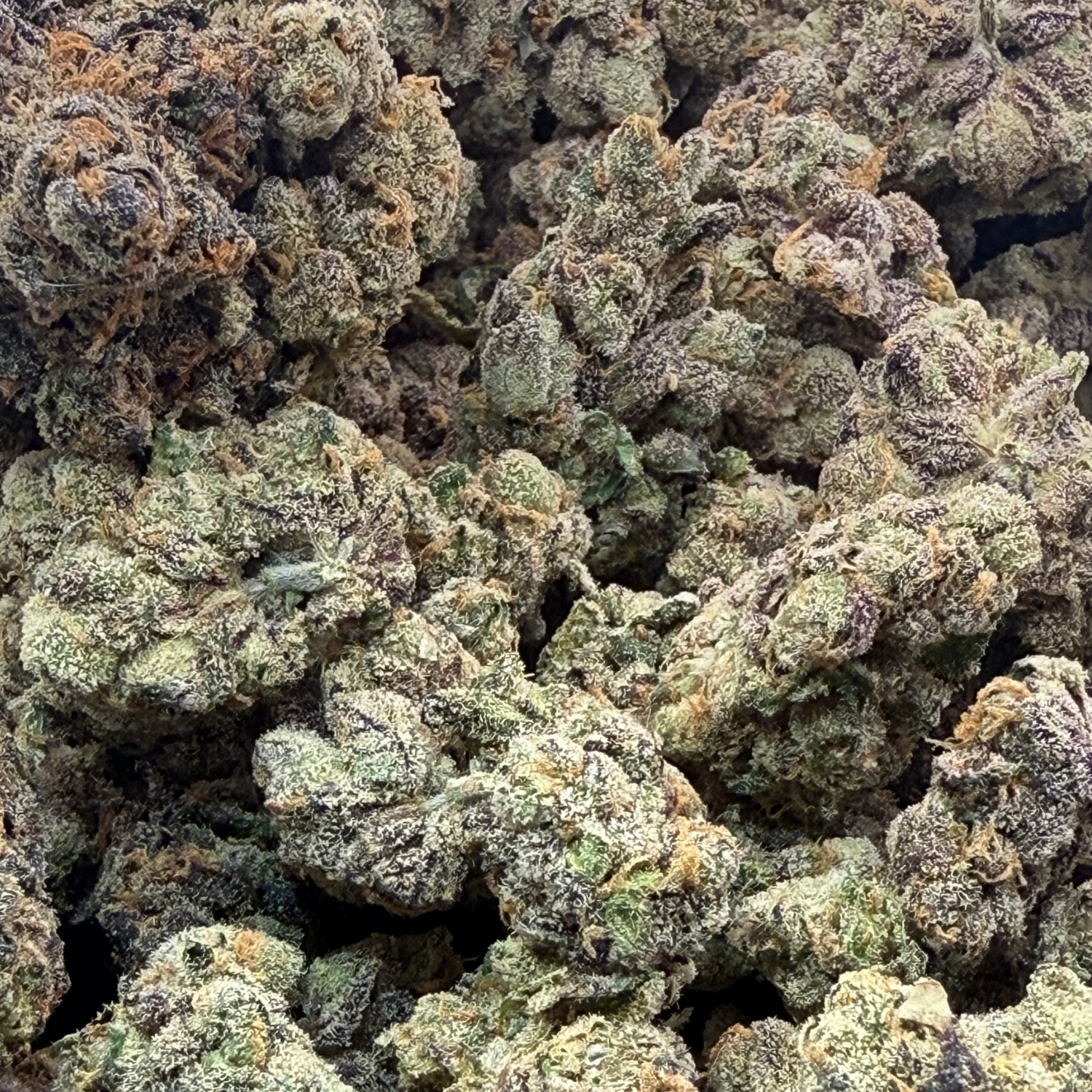 Martian Candy Nugget Indoor Hidropónica