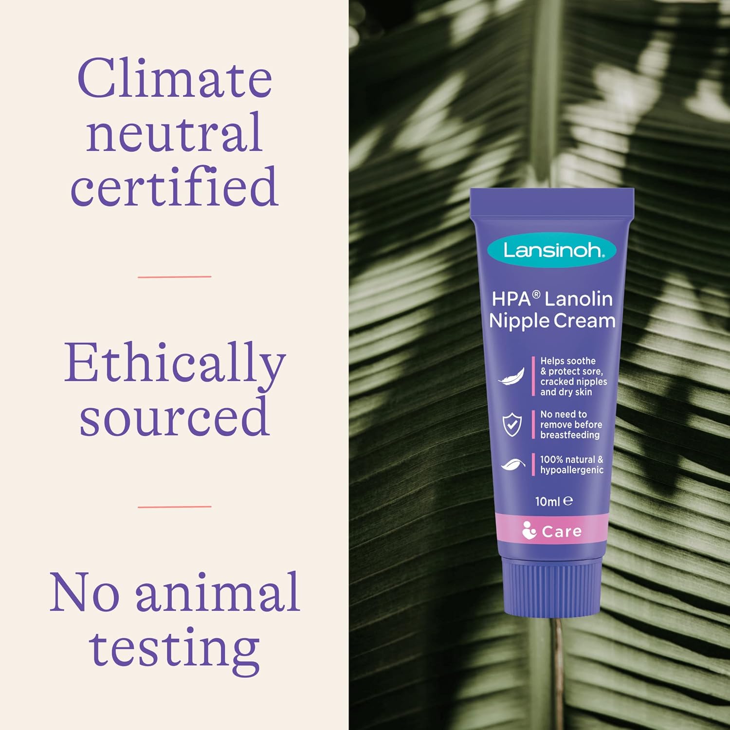Lansinoh Nipple Cream