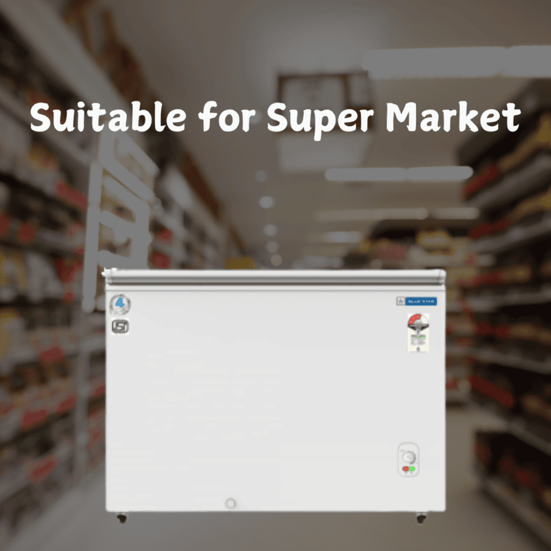 Suitable for Super Market: Blue star Hard Top 300 litre Chest Freezer CF3-300MEW-SD