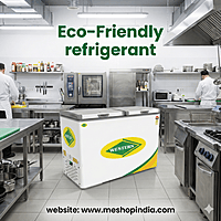 The Western logo on the D350H225 model, a trusted brand for a Deep freezer in Delhi NCR.
