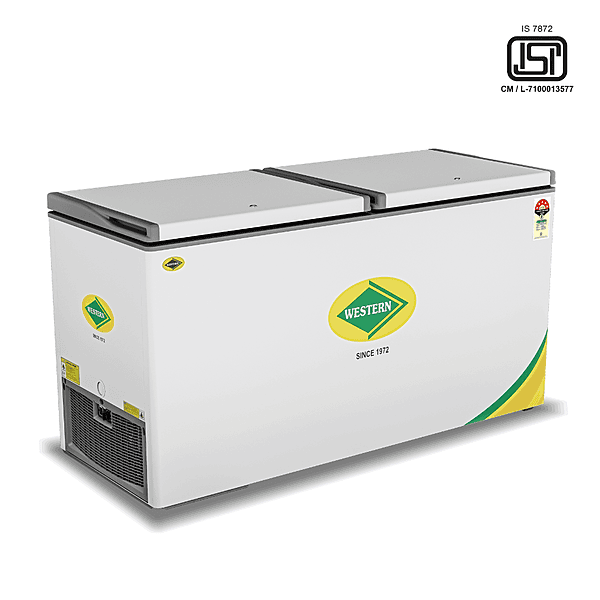 Western Deep Freezer D625H225 with 568 liter capacity for commercial use in Gurgaon.