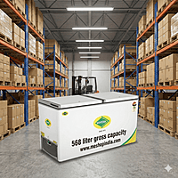 Western D625H225 hard top freezer ideal for supermarkets in Noida and Gurugram.