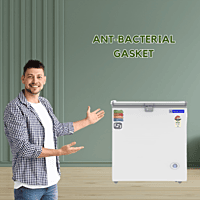 Efficient freezing with the 230-liter Blue Star hard top freezer.