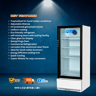 Deep freezer with a lockable lid, Blue Star.