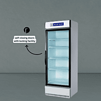 Deep freezer with a lockable lid, Blue Star. Deep freezer with a lockable lid, Blue Star.