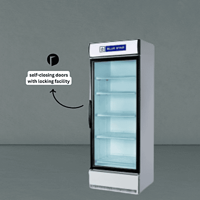 Deep freezer with a lockable lid, Blue Star.