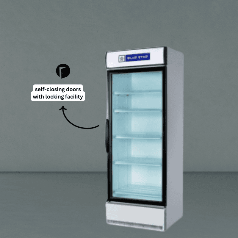 Deep freezer with a lockable lid, Blue Star.
