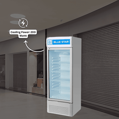 Blue Star Visi Cooler VC275D: a 250-liter display fridge.