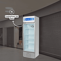 Blue Star Visi Cooler VC190A: a 165-liter beverage display fridge.