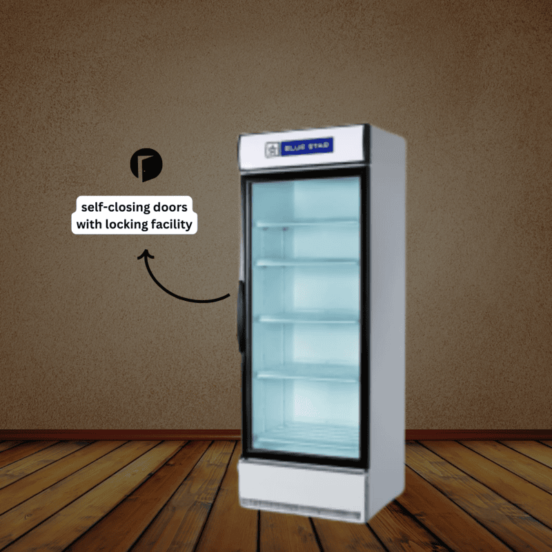 Blue Star SC650F super cooler for restaurants or catering.