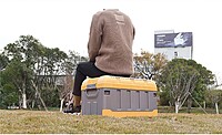 Best Selling Folding Car Storage Box Foldable Plastic Trunk Organizer with Lid