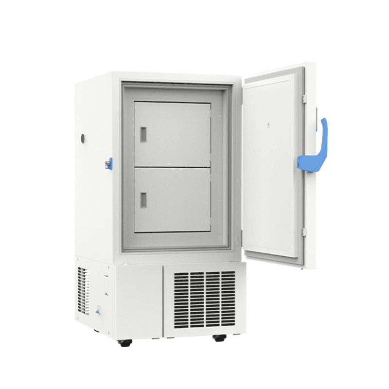 Inner view of Blue Star Low Temperature Medical Refrigerator-DW-HL218