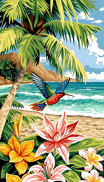 Colibrì ai Tropici