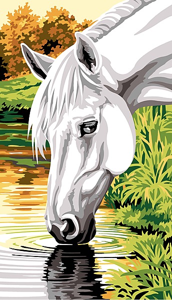 Cavallo Bianco al Ruscello