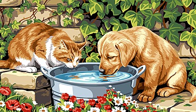 Gatto e Cucciolo alla Bacinella