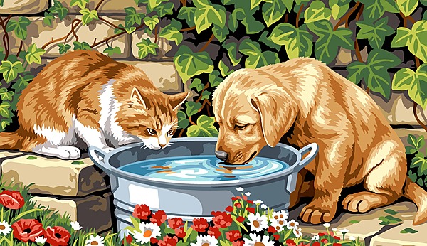 Gatto e Cucciolo alla Bacinella