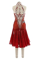 Stunning Red Ballroom Dress