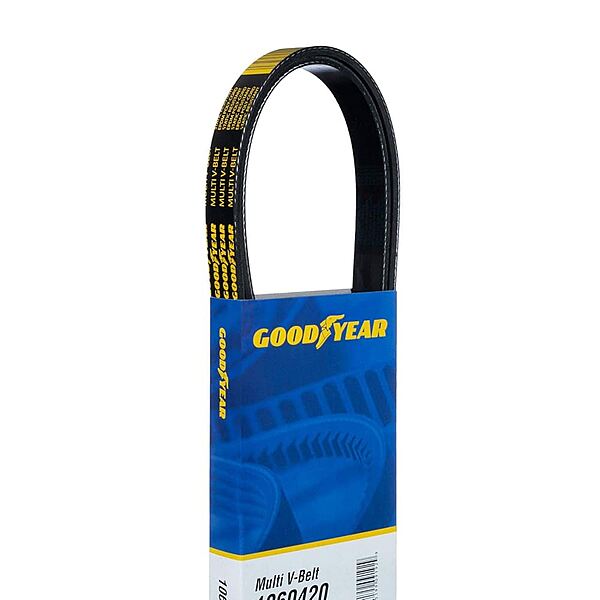 multi belt