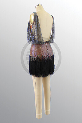 1092023 G295 SR 1092023 G295 SR