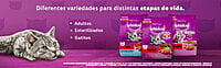 Whiskas - Whiskas Whiskas alimento para Gatos Adultos Sabor Carne Receta Orginal 9Kg Violeta