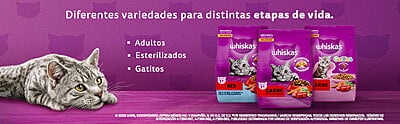 Whiskas - Whiskas Whiskas alimento para Gatos Adultos Sabor Carne Receta Orginal 9Kg Violeta Whiskas - Whiskas Whiskas alimento para Gatos Adultos Sabor Carne Receta Orginal 9Kg Violeta