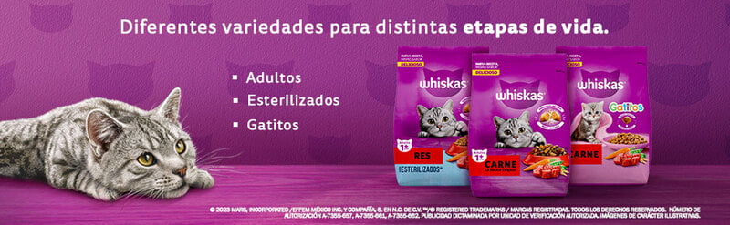 Whiskas - Whiskas Whiskas alimento para Gatos Adultos Sabor Carne Receta Orginal 9Kg Violeta