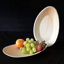 Nature Compostable Biodegradable Disposable Plates - Palm Leaf 10ââ‚¬Â Oval Small Dinnerware Set - Eco Friendly Alternative - Party, Wedding, Event Plates (25 Pack)