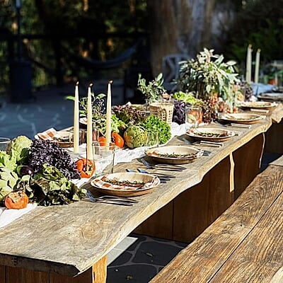 Nature 10inchs Round Deep Disposable Palm Leaf Plates - 25 Pack - Small Dinnerware Set - Eco-Friendly, Biodegradable & Compostable - Ideal for Weddings, Parties, Home Use, Events