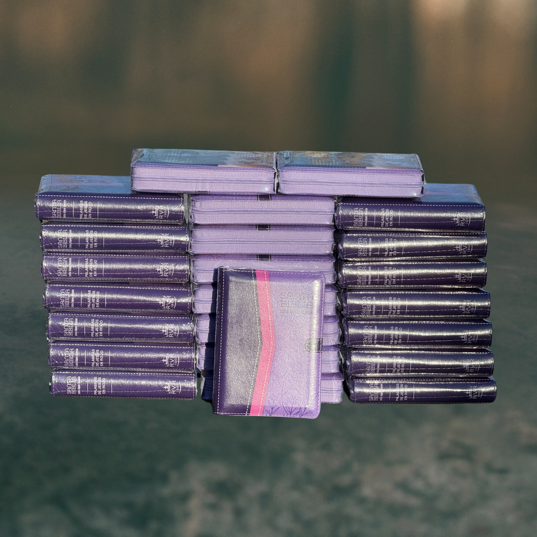 Santa Biblia Compacta Lila /  Imitación Piel /  Letra Grande - Caja de 24 unidades