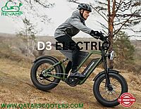 Windhorse Electric Bike D3