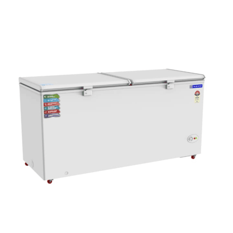 Customer Reviewing a Blue Star 500 Litre Chest Freezer Purchased in Gurgaon