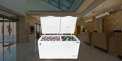 Suitable for Restaurants: Blue star Cooler and Deep Freezer 350 liter-CHFK350DGS