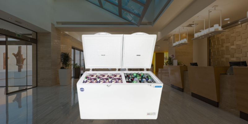 Suitable for Restaurants: Blue star Cooler and Deep Freezer 350 liter-CHFK350DGS