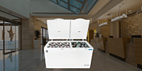 Suitable for Resort: Blue star 400 litre Dual Compartment Cooler & Freezer-CHFK400DGS Suitable for Resort: Blue star 400 litre Dual Compartment Cooler & Freezer-CHFK400DGS