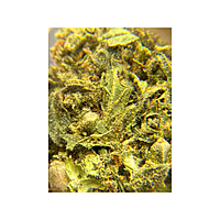 Blue Dream Greenhouse Exotic Living Soil