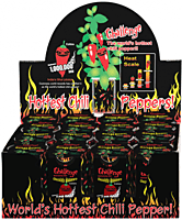 Chocolate Habanero Pepper Growing Kit