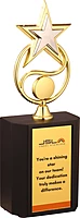 JSL STATUES  TROPHY